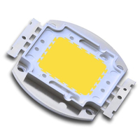 Módulo integrado de luz blanca 6000K de 100W Led Z1C