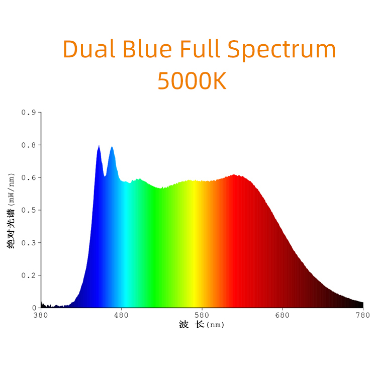 0.5W 2835 SMD 5000K LED azul doble de espectro completo