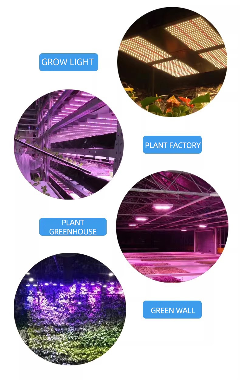 3030 Fuente de iluminación para plantas Cobertizo para plantas de alto voltaje de 5 V Cuentas LED de espectro completo de alta potencia dedicadas de 0,8 W